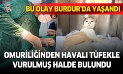 Burdur'da omuriliğinden havalı tüfekle vurulmuş halde bulundu