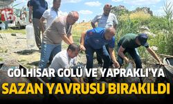 Gölhisar Gölü ve Yapraklı Barajına 5 bin sazan yavrusu