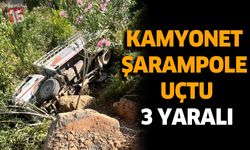 Kamyonet Şarampole Uçtu : 3 yaralı