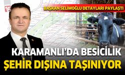 Karamanlı'da hayvan besiciliği şehir dışına çıkarılıyor