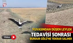Tedavisi tamamlanan leylek Burdur Gölüne bırakıldı