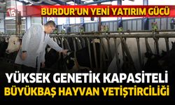 Burdur’un yeni yatırım gücü, yüksek genetik kapasiteli büyükbaş hayvan yetiştiriciliği