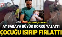 Antalya'da sevmek istediği at, 3 yaşındaki çocuğu ısırıp havaya fırlattı