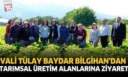 Vali Tülay Baydar Bilgihan'dan Tarımsal Üretim Alanlarına Ziyaret
