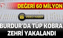 Burdur'da piyasa değeri 60 milyon olan kobra zehri yakalandı