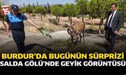 Burdur'da Bugünün Sürprizi: Salda Gölü'nde Geyik Görüntüsü