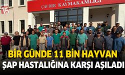 Burdur Çavdır'da bir günde 11 bin şap aşısı yapıldı