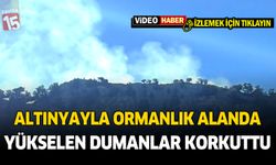 Altınyayla ormanlık alanda yükselen dumanlar korkuttu