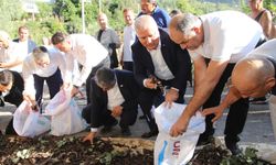 Alanya Keçiboynuzu Hasat Şenliği coşkusu