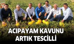 Acıpayam kavunu artık tescilli