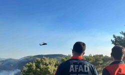 Alanya’da 3 mahalledeki orman yangını kontrol altında: 400 hektar alan zarar gördü
