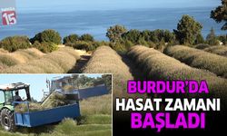 Burdur’da Susuz Tarımla Yetişen Lavanta İhracata Başladı