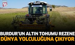 Burdur’un Altın Tohumu Rezene Dünya Yolculuğuna Çıkıyor
