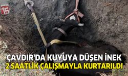 Çavdır’da Kuyuya Düşen İnek 2 Saatlik Çalışmayla Kurtarıldı
