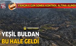 Yeşil Buldan bu hale geldi. Yeşilden siyaha
