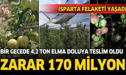 Isparta'da etkili olan dolu elma üreticisini vurdu