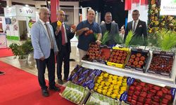Fresh Antalya 2025, 700’ün üzerinde yabancı ziyaretçi ağırladı