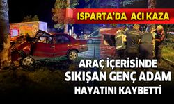 Isparta'da ağaca çarpan aracın sürücüsü hayatını kaybetti