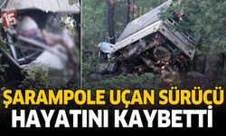 Uçuruma uçan kamyonet sürücüsü hayatını kaybetti