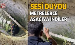Burdur'da su kuyusuna düşen kedi kurtarıldı