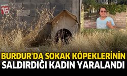 Burdur'da Sokak Köpeklerinin Saldırdığı Kadın Yaralandı