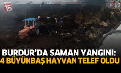 Burdur’da Saman Yangını: 4 Büyükbaş Hayvan Telef Oldu