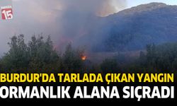 Burdur'da Tarlada Çıkan Yangın Ormanlık Alana Sıçradı