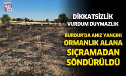 Burdur'da anız yangını felakete dönüşmeden söndürüldü
