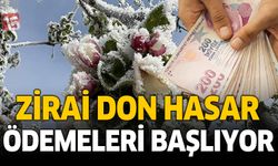 Zirai Don Afetinden Zarar Gören Çiftçilere Destek Ödemesi Yapılacak