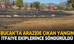 Bucak'ta Arazide Çıkan Yangın İtfaiye Ekiplerince Söndürüldü