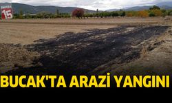 Bucak'ta Arazi Yangını