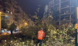 Belediye ekipleri, yağışın oluşturduğu olumsuzluklara 81 araç ve 323 personelle hızla müdahale etti