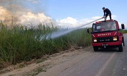 Dökülen çöpler kargıların yanmasına neden oldu