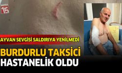 Burdurlu Taksici Hastanelik Oldu! Hayvan Sevgisi Saldırıya Yenilmedi