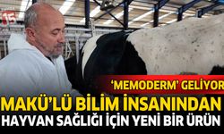 MAKÜ’lü Bilim İnsanından Hayvan Sağlığı İçin Yeni Bir Ürün; ‘Memoderm’ Geliyor