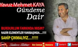 Mehmet Yavuz Kaya yazdı, Nadir elemenler yanı başında, sahip çıkmalıyız