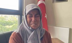 "Oğlumu tarla gibi yapmış" diyerek gözyaşı dökmüştü, davada tanıklar konuştu