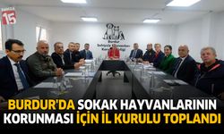 Burdur’da Sokak Hayvanlarının Korunması İçin İl Kurulu Toplandı