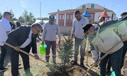 Afyonkarahisar’da binlerce fidan toprakla buluşturuldu