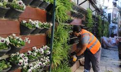 Antalya'da 4 milyon çiçek toprakla buluşuyor