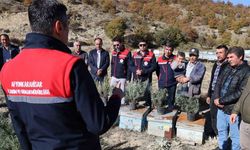 Arıcalara lavanta fidesi dağıtıldı