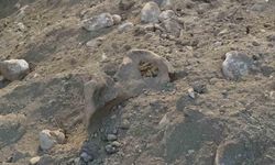Burdur’da kazı çalışmalarında şaşırtan buluntu kemikler