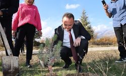 Çivril'de öğretmenler anısına fidan dikimi yapıldı