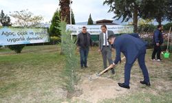 Denizli Milli Eğitim 'Yeşeren Eller Hareketi Fidan Dikme' kampanyası başlattı
