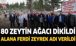Burdur Belediye Meclis üyeleri Ferdi Zeyrek için zeytin ağacı dikti