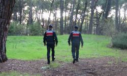 Jandarmadan ormanlık alanlarda kangal ve ateş nöbeti