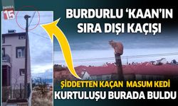 Burdur'da ilginç görüntü. Sebebi ise hemcinsinin yaptıkları