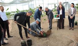 Kahve sadece adıyla değil üretimiyle de Türk olacak