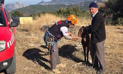 Kaya oyuğuna düşen ve 3 gün mahsur kalan keçi, film gibi operasyonla kurtarıldı