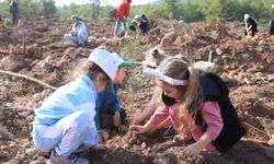 Kepezli Minikler, yangın sonrası orman alanına umut dikti
